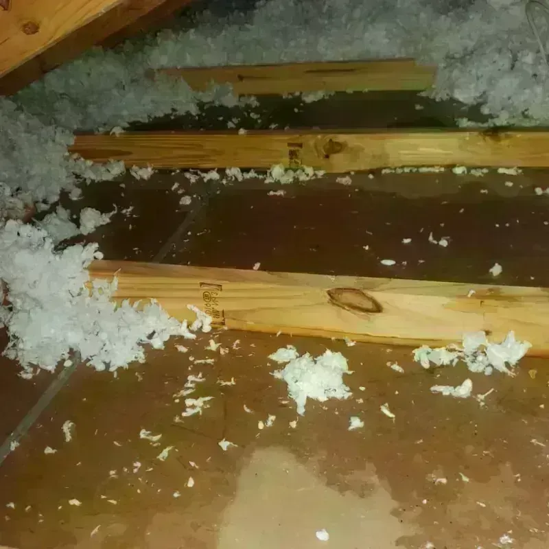 Attic Water Damage in Olney, IL