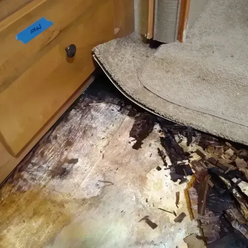 Best Wood Floor Water Damage Service in Olney, IL